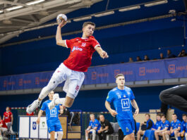 {{brizy_dc_image_alt entityId=