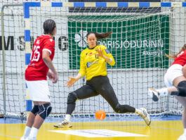 {{brizy_dc_image_alt entityId=