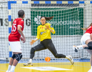 Egill Bjarni Friðjónsson)