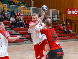 {{brizy_dc_image_alt entityId=