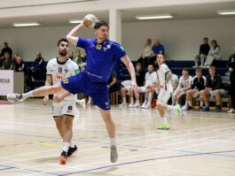 {{brizy_dc_image_alt entityId=