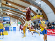 {{brizy_dc_image_alt entityId=