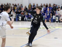 {{brizy_dc_image_alt entityId=