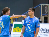 {{brizy_dc_image_alt entityId=