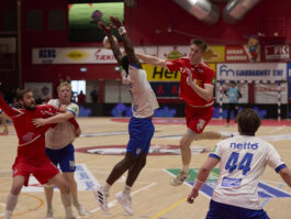 Brynjólfur Jónsson)