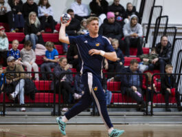 {{brizy_dc_image_alt entityId=