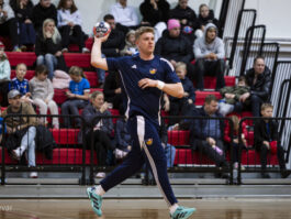 {{brizy_dc_image_alt entityId=