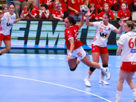 Egill Bjarni Friðjónsson