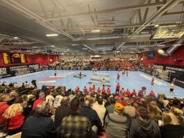 {{brizy_dc_image_alt entityId=