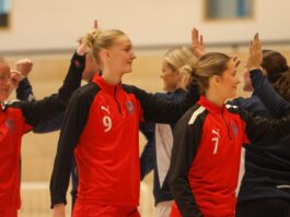 Kristinn Steinn Traustason)