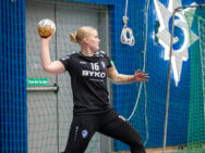 {{brizy_dc_image_alt entityId=