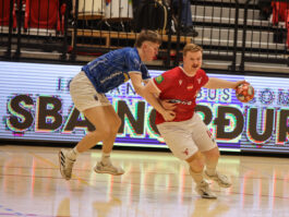 {{brizy_dc_image_alt entityId=