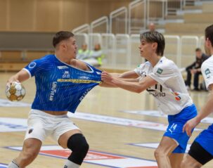 (Kristinn Steinn Traustason)