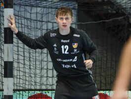 (Kristinn Steinn Traustason)