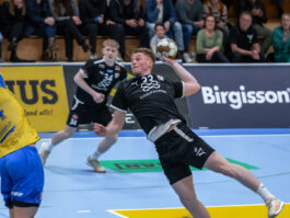 (Egill Bjarni Friðjónsson)
