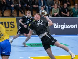 (Egill Bjarni Friðjónsson)