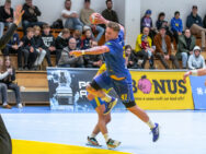 {{brizy_dc_image_alt entityId=