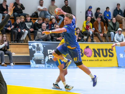 (Egill Bjarni Friðjónsson)