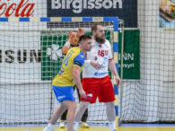 {{brizy_dc_image_alt entityId=