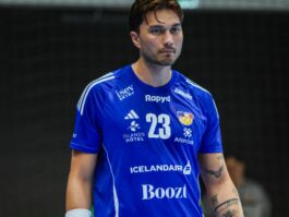 (Kristinn Steinn Traustason)