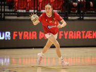 {{brizy_dc_image_alt entityId=