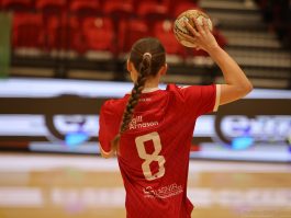 {{brizy_dc_image_alt entityId=