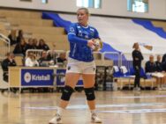 (Kristinn Steinn Traustason)