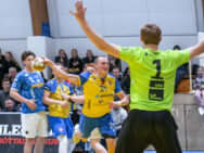 {{brizy_dc_image_alt entityId=