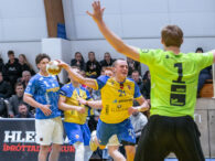 {{brizy_dc_image_alt entityId=