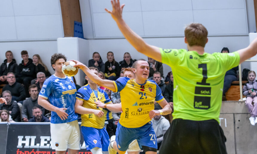 (Egill Bjarni Friðjónsson)