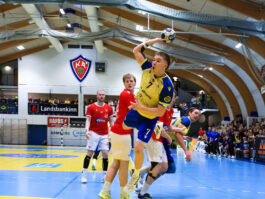 Egill Bjarni Friðjónsson