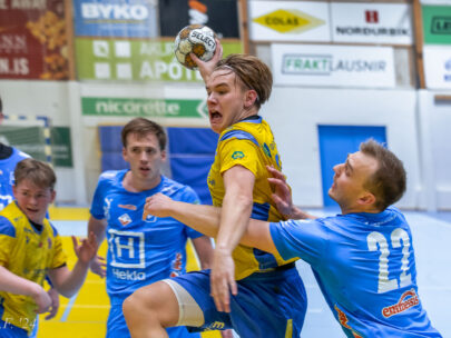 (Egill Bjarni Friðjónsson)