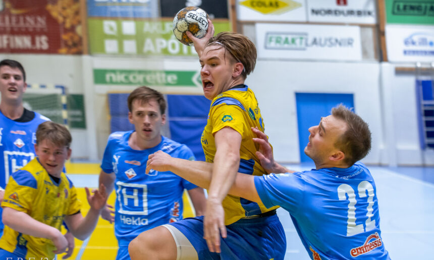 (Egill Bjarni Friðjónsson)