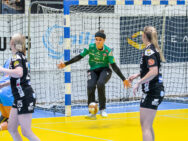 {{brizy_dc_image_alt entityId=