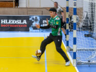 {{brizy_dc_image_alt entityId=