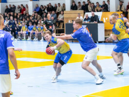 {{brizy_dc_image_alt entityId=