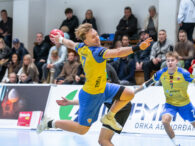 Egill Bjarni Friðjónsson)