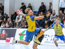 Egill Bjarni Friðjónsson)