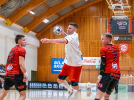 {{brizy_dc_image_alt entityId=