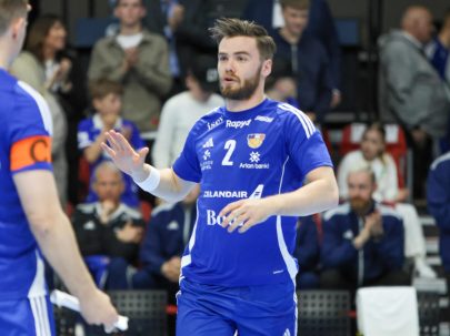 (Kristinn Steinn Traustason)