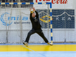 {{brizy_dc_image_alt entityId=