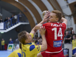 Brynjólfur Jónsson)