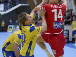 {{brizy_dc_image_alt entityId=