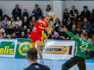 {{brizy_dc_image_alt entityId=