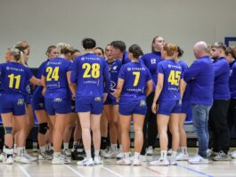 {{brizy_dc_image_alt entityId=