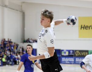 {{brizy_dc_image_alt entityId=