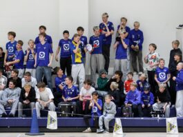 {{brizy_dc_image_alt entityId=