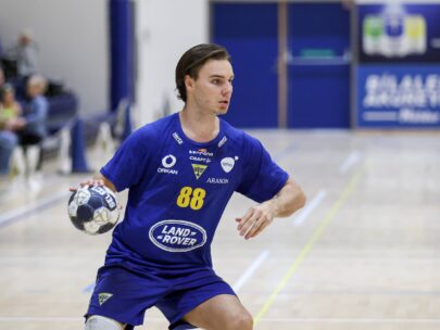 {{brizy_dc_image_alt entityId=