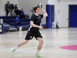 {{brizy_dc_image_alt entityId=