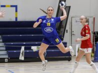 {{brizy_dc_image_alt entityId=